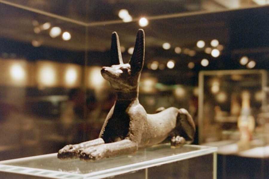 Half Day Tour Visit Luxor and Mummification Museums gallery 2