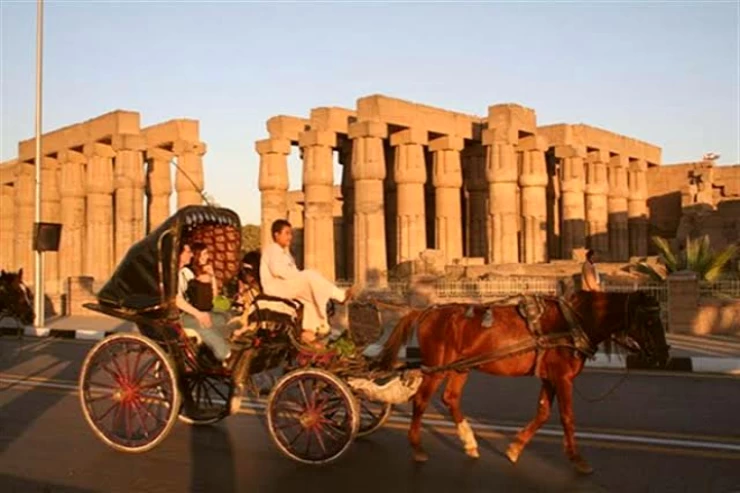Luxor City Tour by Horse Carriage - Cultural in Egypt